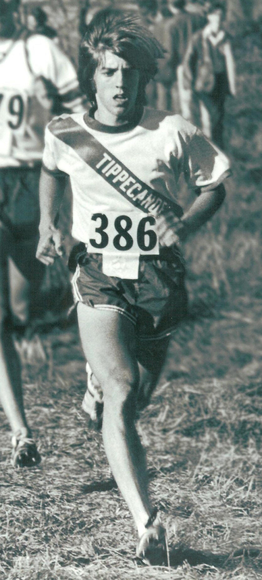 dave grim